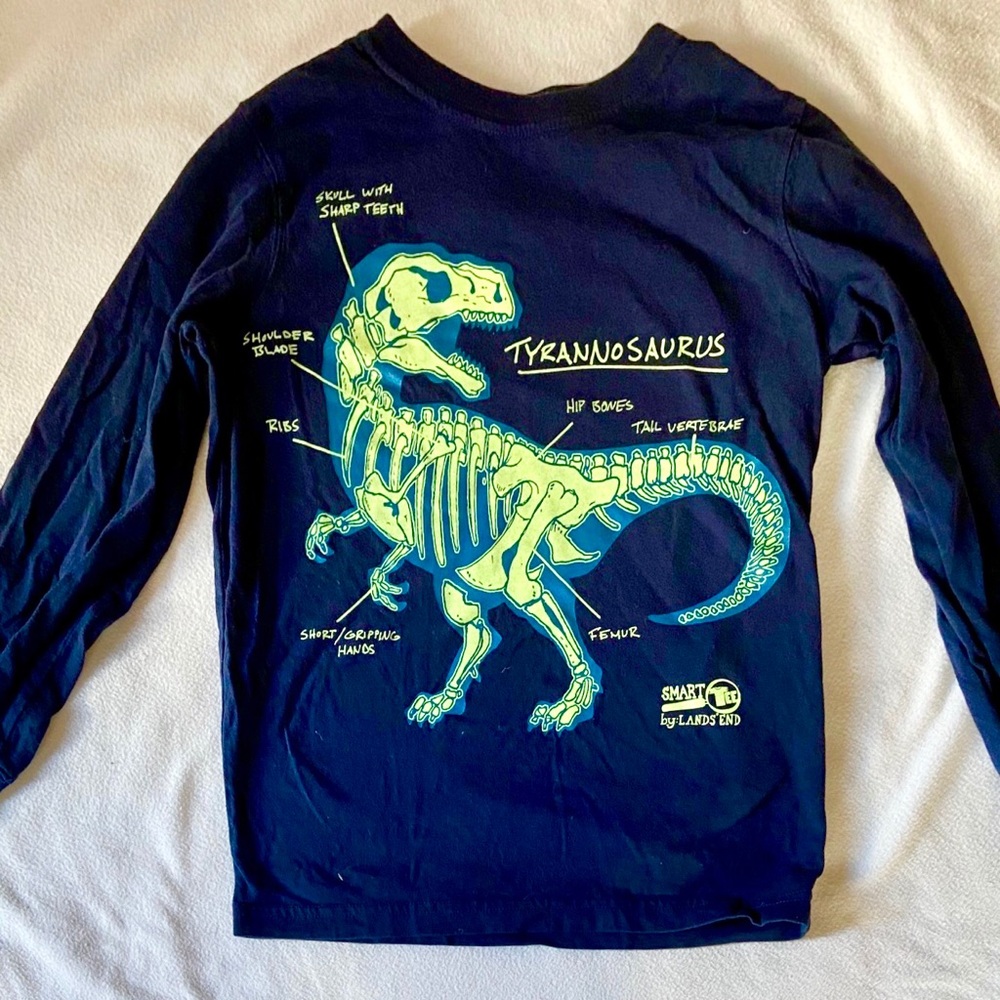 3/$30 LANDS END dinosaur long sleeve glow indarkπ° - Picture 1 of 4